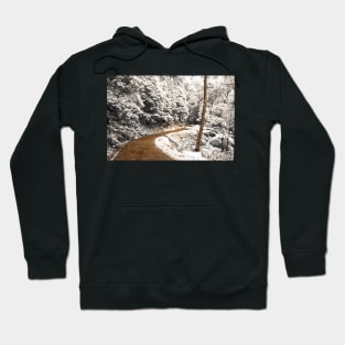 Not a snowfall Hoodie